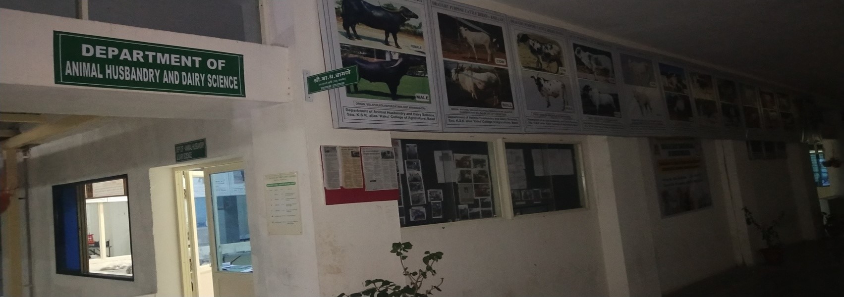 Department of Animal Husbandry and Dairy Science | KSK College of  Agriculture Beed